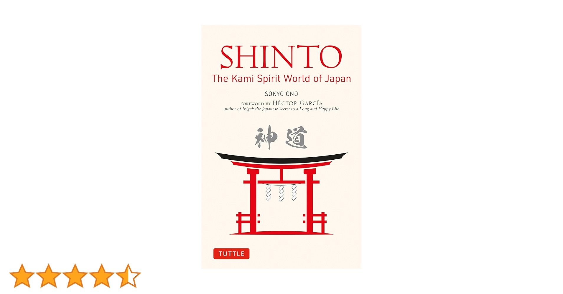 71syAhItKpL.jpg_BO30,255,255,